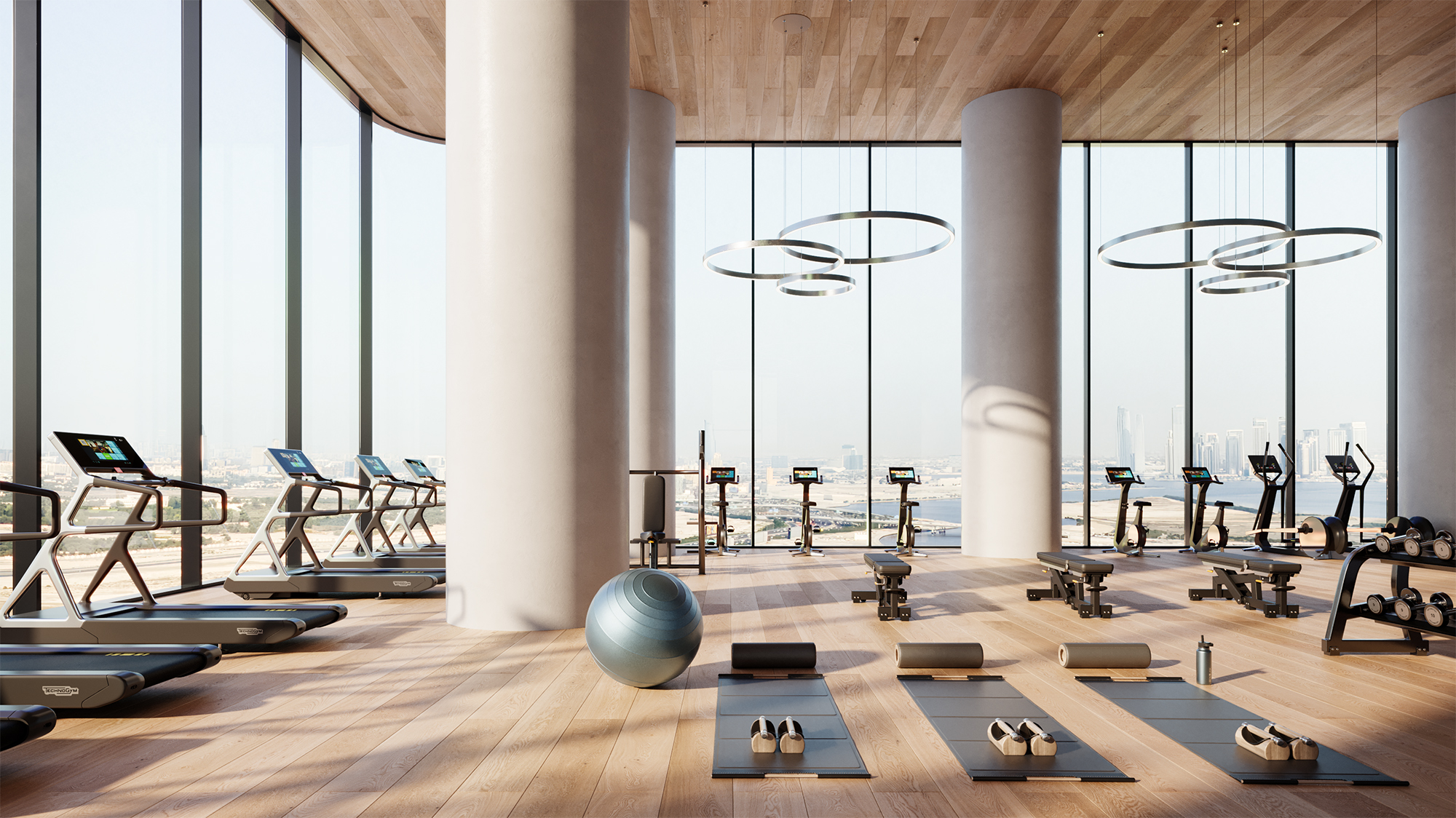 VELA VIENTO by OMNIYAT 18 Double Height Gym.jpg
